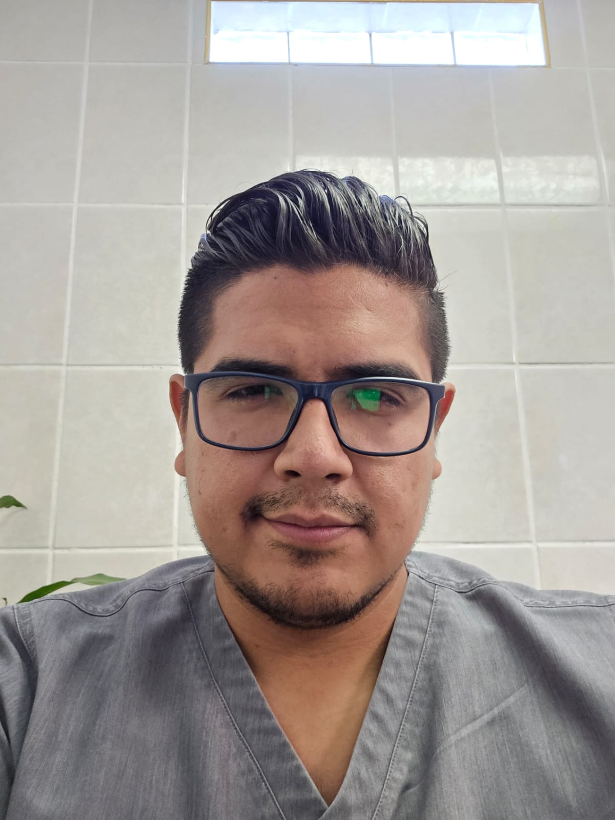 LUIS CARLOS REYES PUENTES